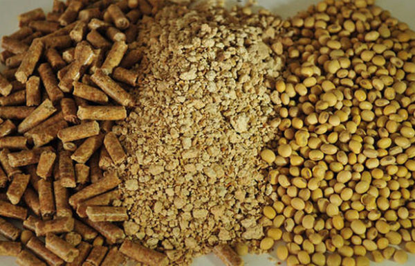 GRANULATED SOYBEAN HUSK